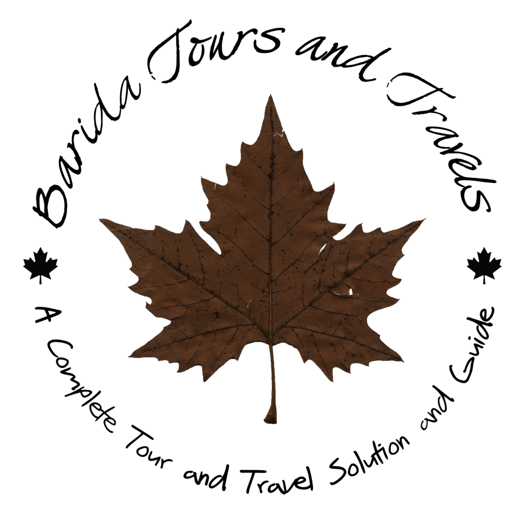 Barida Tours and Travels Logo