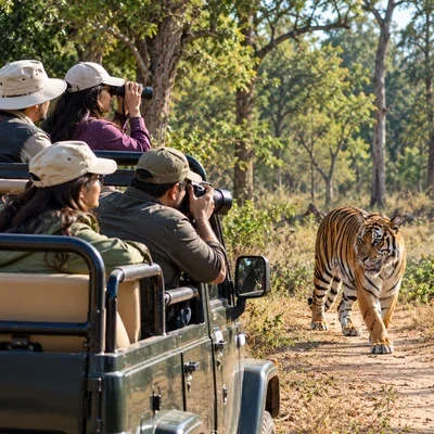 wildlife_tours_realistic_400x400 wildlife_tours_realistic_400x400